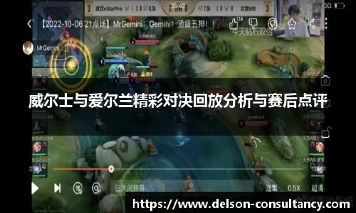 威尔士与爱尔兰精彩对决回放分析与赛后点评